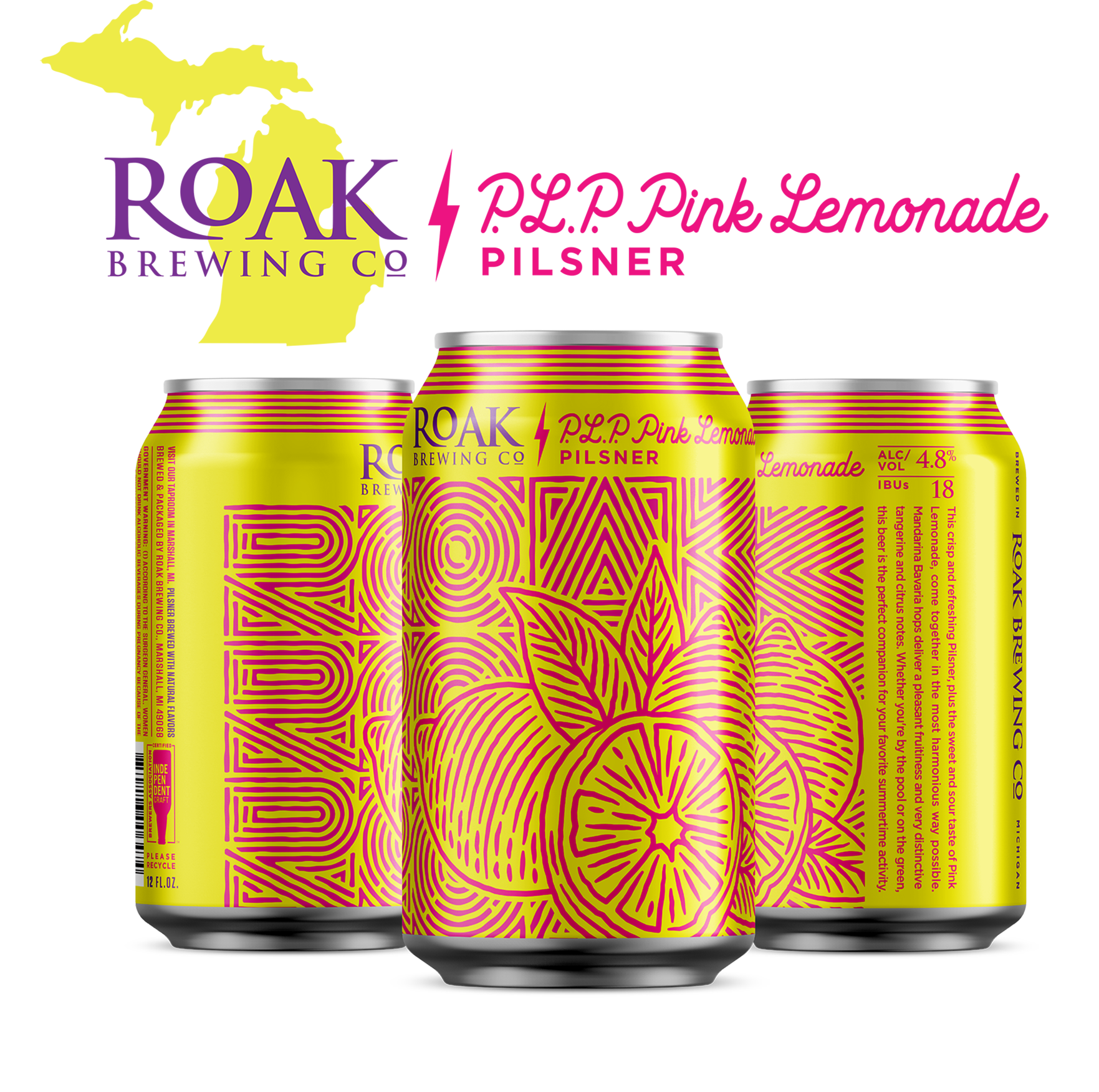 ROAK PLP Pink Lemonade Pilsner